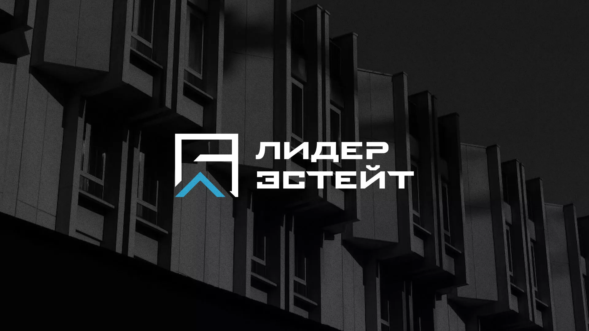 Разработка логотипа агентства недвижимости «Лидер Эстейт» в Цивильске
